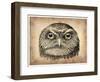 Vintage Owl Face-NaxArt-Framed Art Print