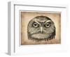 Vintage Owl Face-NaxArt-Framed Art Print