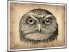 Vintage Owl Face-NaxArt-Mounted Art Print