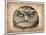 Vintage Owl Face-NaxArt-Mounted Art Print