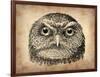 Vintage Owl Face-NaxArt-Framed Art Print