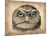 Vintage Owl Face-NaxArt-Mounted Art Print