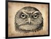 Vintage Owl Face-NaxArt-Framed Art Print