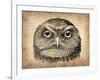 Vintage Owl Face-NaxArt-Framed Art Print