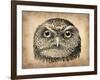 Vintage Owl Face-NaxArt-Framed Art Print