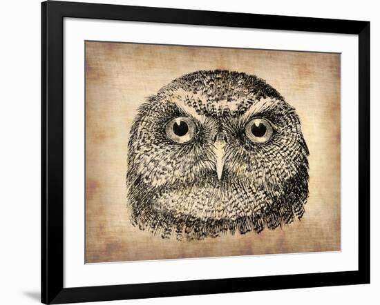 Vintage Owl Face-NaxArt-Framed Art Print