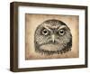 Vintage Owl Face-NaxArt-Framed Art Print