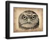 Vintage Owl Face-NaxArt-Framed Art Print