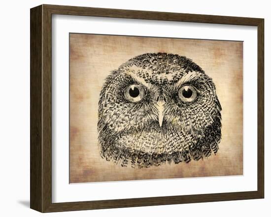 Vintage Owl Face-NaxArt-Framed Art Print