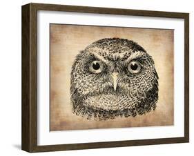 Vintage Owl Face-NaxArt-Framed Art Print