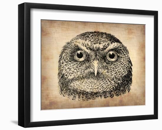 Vintage Owl Face-NaxArt-Framed Art Print