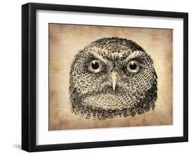 Vintage Owl Face-NaxArt-Framed Art Print