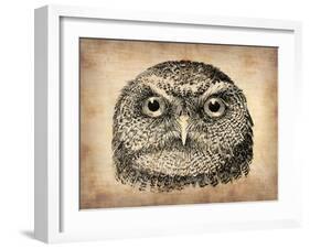 Vintage Owl Face-NaxArt-Framed Art Print