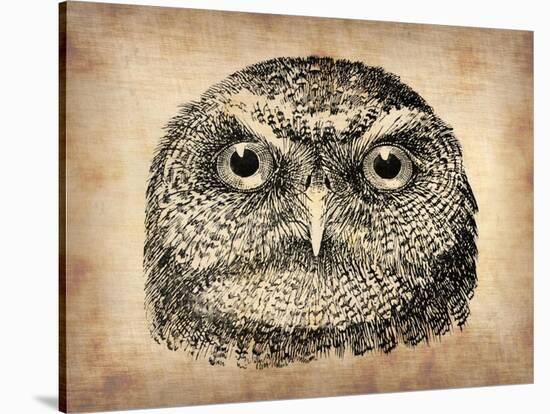 Vintage Owl Face-NaxArt-Stretched Canvas