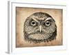 Vintage Owl Face-NaxArt-Framed Art Print