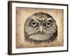 Vintage Owl Face-NaxArt-Framed Art Print