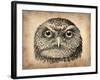 Vintage Owl Face-NaxArt-Framed Art Print