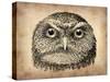 Vintage Owl Face-NaxArt-Stretched Canvas