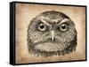 Vintage Owl Face-NaxArt-Framed Stretched Canvas
