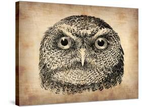 Vintage Owl Face-NaxArt-Stretched Canvas