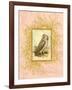 Vintage Owl-null-Framed Art Print