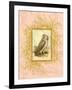 Vintage Owl-null-Framed Art Print