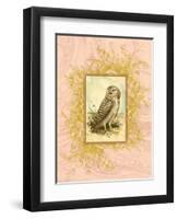 Vintage Owl-null-Framed Art Print