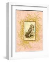 Vintage Owl-null-Framed Art Print