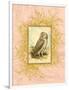 Vintage Owl-null-Framed Premium Giclee Print