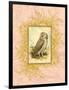 Vintage Owl-null-Framed Premium Giclee Print