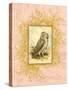 Vintage Owl-null-Stretched Canvas