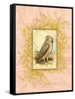 Vintage Owl-null-Framed Stretched Canvas