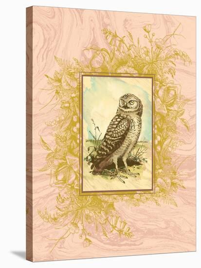 Vintage Owl-null-Stretched Canvas