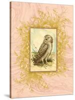 Vintage Owl-null-Stretched Canvas