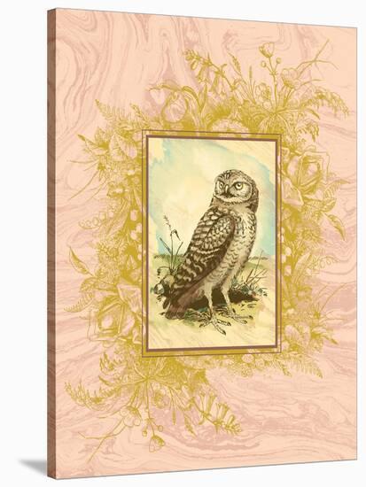 Vintage Owl-null-Stretched Canvas