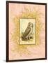 Vintage Owl-null-Framed Art Print