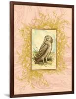 Vintage Owl-null-Framed Art Print