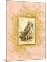 Vintage Owl-null-Mounted Art Print