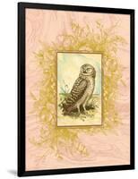 Vintage Owl-null-Framed Art Print