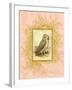 Vintage Owl-null-Framed Art Print