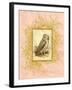 Vintage Owl-null-Framed Art Print