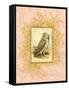 Vintage Owl-null-Framed Stretched Canvas