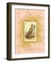 Vintage Owl-null-Framed Art Print