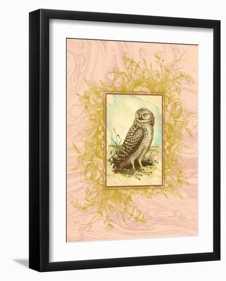 Vintage Owl-null-Framed Art Print