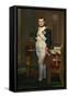 Vintage Painting of the Emperor Napoleon in His Study-Stocktrek Images-Framed Stretched Canvas