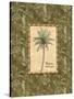 Vintage Palm II-Charlene Audrey-Stretched Canvas