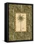 Vintage Palm III-Charlene Audrey-Framed Stretched Canvas