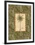 Vintage Palm III-Charlene Audrey-Framed Art Print