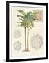 Vintage Palm Study I-Hugo Wild-Framed Art Print