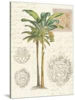 Vintage Palm Study I-Hugo Wild-Stretched Canvas